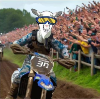 Aula Virtual Motovida Honduras